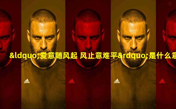 “爱意随风起 风止意难平”是什么意思